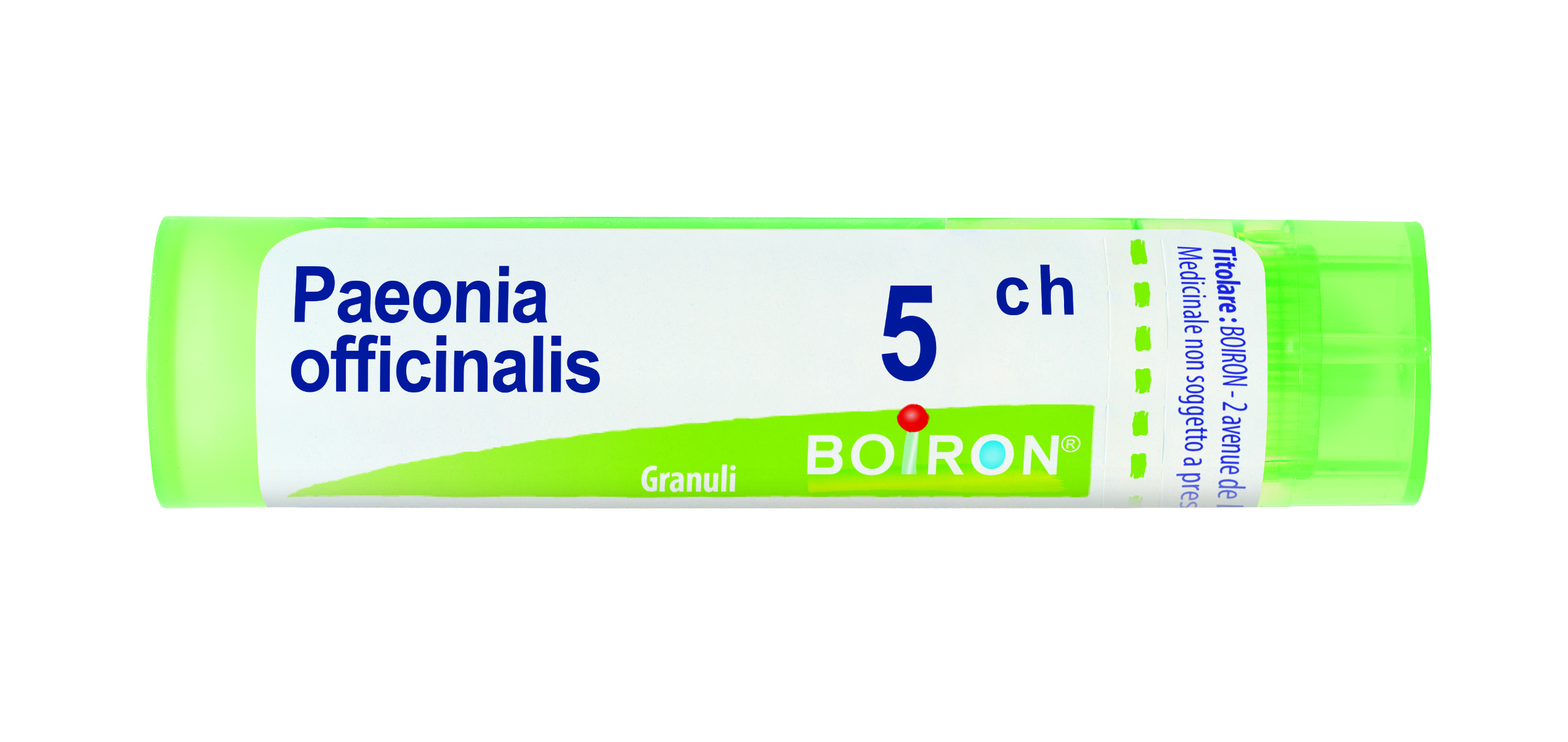 PAEONIA OFFICINALIS*5CH 80GR - Farmamood