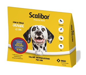 SCALIBOR PROTECTOR BAND*BI65CM - Farmamood