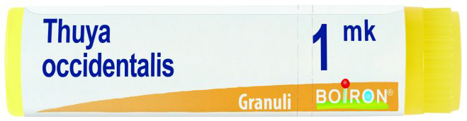 THUYA OCCIDENTALIS MK GLOBULI - Farmamood
