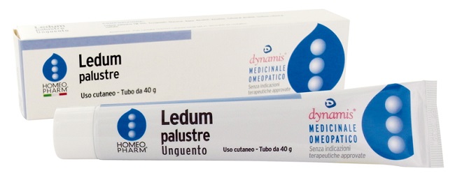 LEDUM PALUSTRE HOMEOPHARM UNGUENTO 40 G - Farmamood