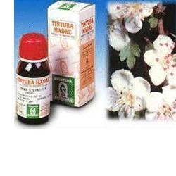 BIANCOSPINO 10 50ML TM - Farmamood
