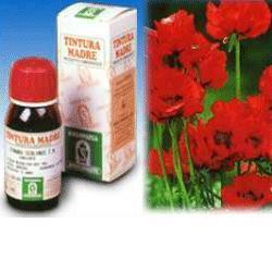 PAPAVERO CALIFORNIA 13 50ML TM - Farmamood