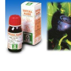 MIRTILLO 31 50ML TM - Farmamood
