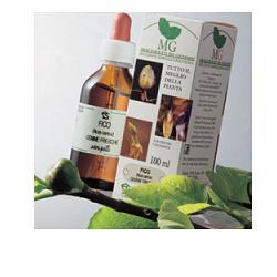 FRASSINO 100ML MG - Farmamood