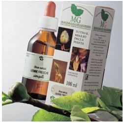 BETULLA 100ML MG - Farmamood
