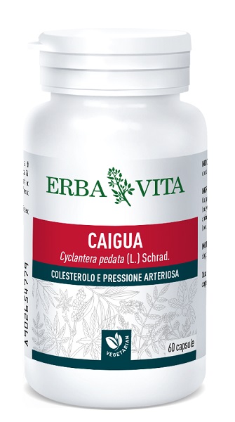 CAIGUA 60 CAPSULE 400 MG - Farmamood