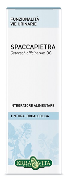 SPACCAPIETRA TINTURA IDROALCOLICA 50 ML EBV - Farmamood