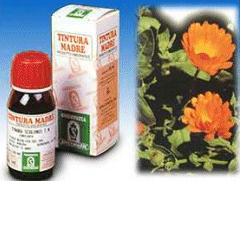 CALENDULA OFF 5 50ML TM - Farmamood