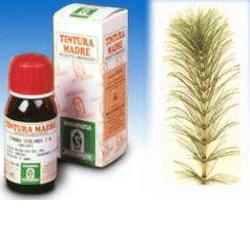 EQUISETO 12 50ML TM - Farmamood