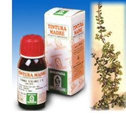 UVA URSINA 30 50ML TM - Farmamood