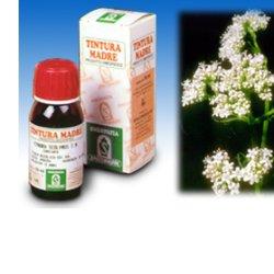 VALERIANA 36 TINTURA MADRE 50 ML - Farmamood