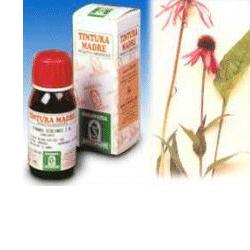 ECHINACEA 59 50ML TM - Farmamood