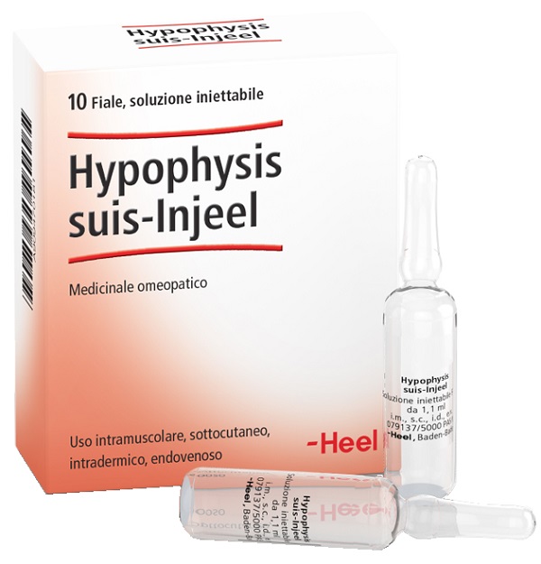 HEEL HYPOPHYSIS SUIS INJEEL 10 FIALE - Farmamood