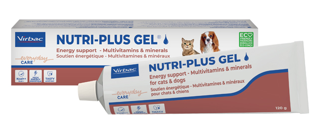 NUTRIPLUS GEL PASTA ORALE 120 G - Farmamood