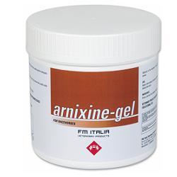 ARNIXINE GEL 750ML - Farmamood