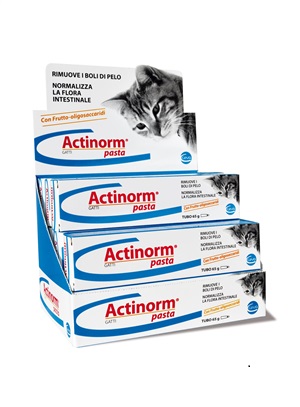ACTINORM PASTA GATTI 65G - Farmamood