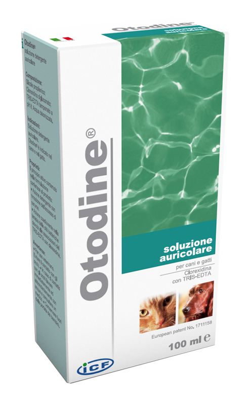 OTODINE DET LIQ 50ML - Farmamood