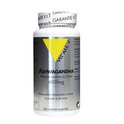 VITAL PLUS ASHWAGANDHA 60 CAPSULE - Farmamood