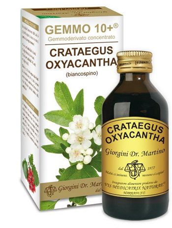 GEMMO 10+ BIANCOSPINO LIQUIDO ANALCOLICO 100 ML - Farmamood