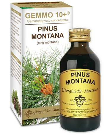 GEMMO 10+ PINO MONTANO 100 ML LIQUIDO ANALCOLICO - Farmamood