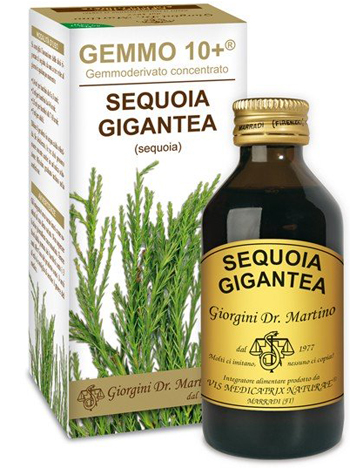 GEMMO 10+ SEQUOIA 100 ML LIQUIDO ANALCOLICO - Farmamood