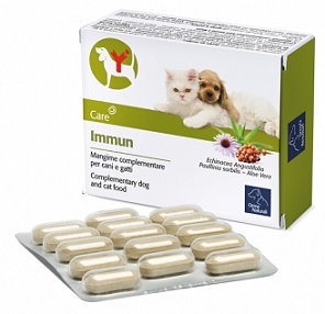 IMMUN 60 COMPRESSE - Farmamood