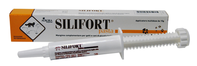 SILIFORT PASTA OS SIRINGA 15 G - Farmamood