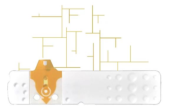 STRISCE MISURAZIONE GLICEMIA LINEA D ORO 25 PEZZI - Farmamood