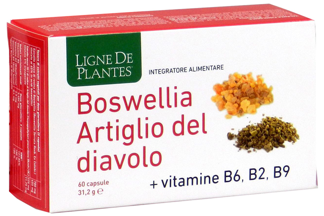 BOSWELLIA ARTIGLIO DIAVOLO VITAMINE B2 B6 B9 60 CAPSULE - Farmamood