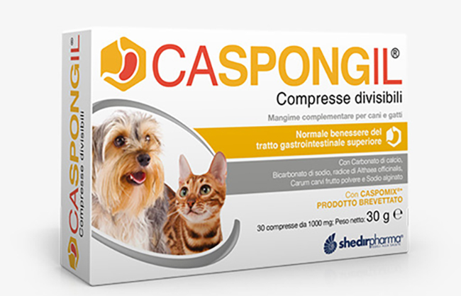 CASPONGIL 30 COMPRESSE DIVISIBILI - Farmamood