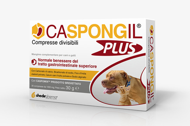 CASPONGIL PLUS 30 COMPRESSE - Farmamood