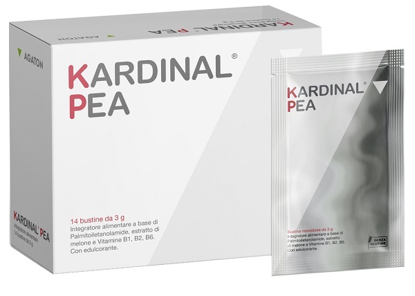 KARDINAL PEA 14 BUSTINE - Farmamood