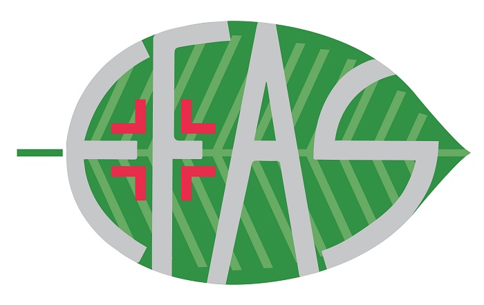 HA100 ACIDO IALURONICO 100% 30 ML - Farmamood