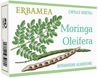 MORINGA OLEIFERA 24 CAPSULE - Farmamood