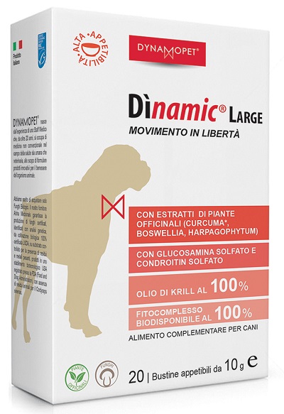 DINAMIC LARGE 20 BUSTINE 10 G - Farmamood