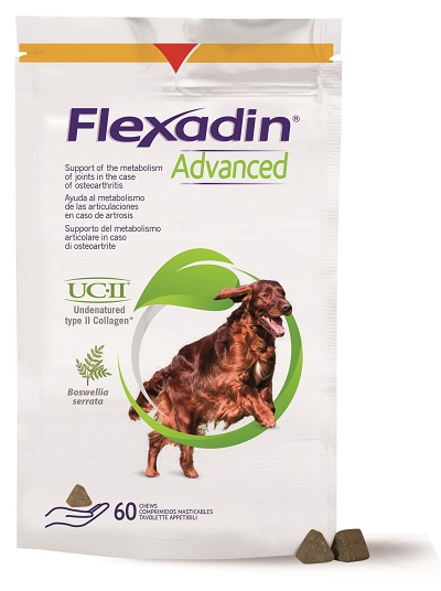 FLEXADIN ADVANCED CANE TUTTE LE TAGLIE 60 TAVOLETTE APPETIBILI - Farmamood