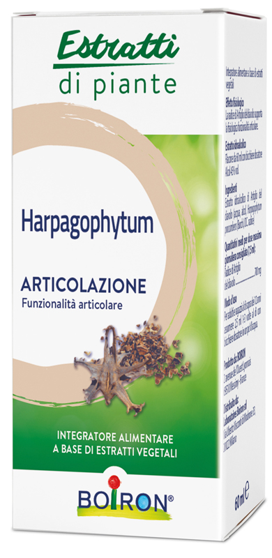 HARPAGOPHYTUM ESTRATTO IDROALCOLICO 60 ML INT - Farmamood