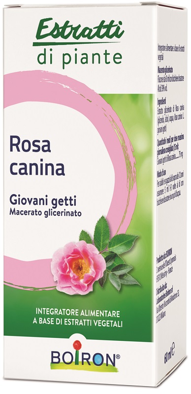 ROSA CANINA MACERATO GLICERICO 60 ML INT - Farmamood