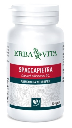 SPACCAPIETRA 60 CAPSULE - Farmamood